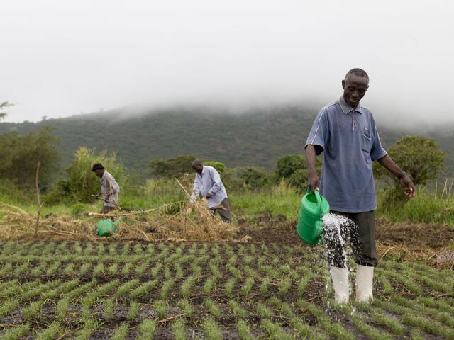 Exploring Sustainable Agriculture and Fishing in the Caribbean