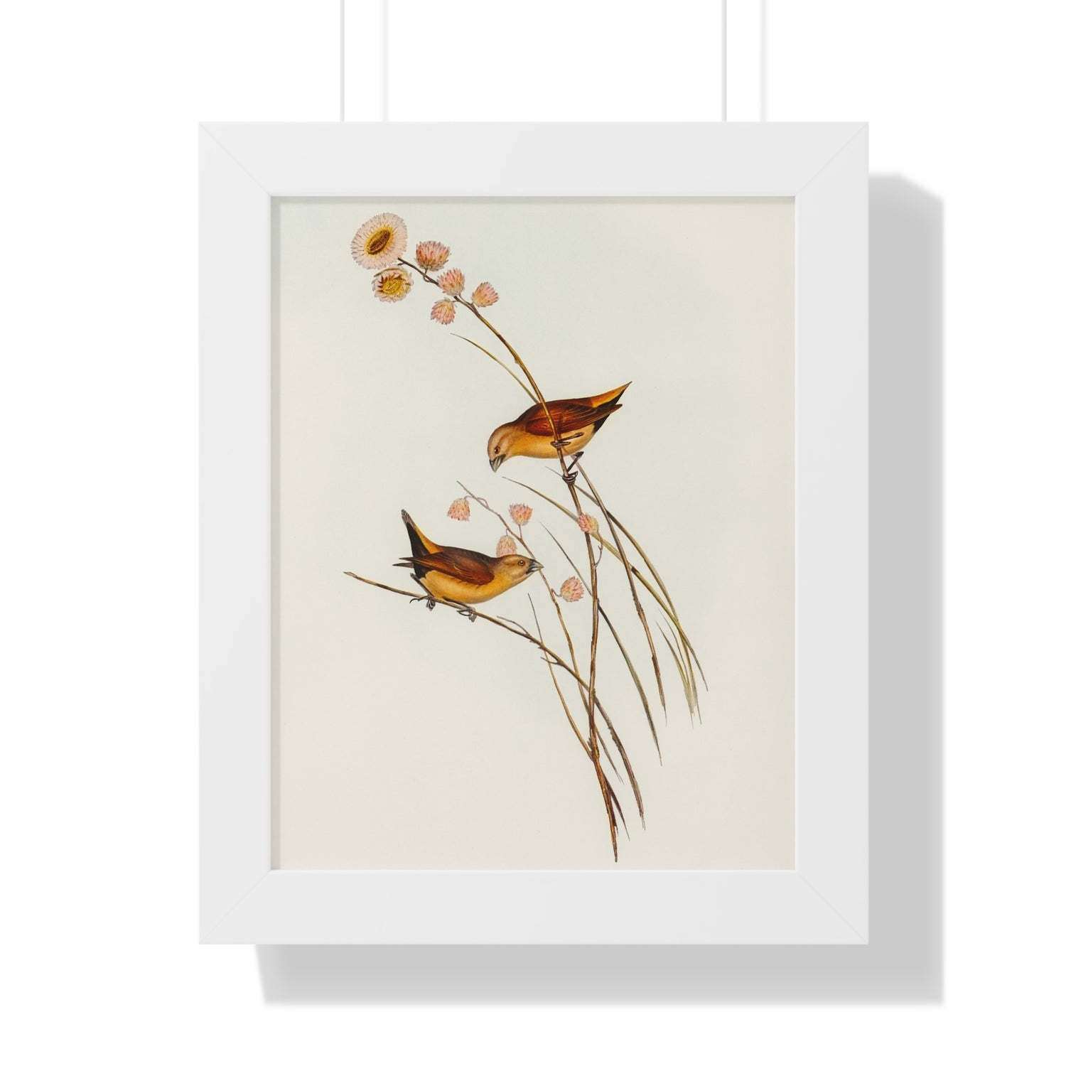 Charming Bird Framed Poster | Nature Art Print, Wall Decor, Gift for Bird Lovers, Home Aesthetic, Vintage Print