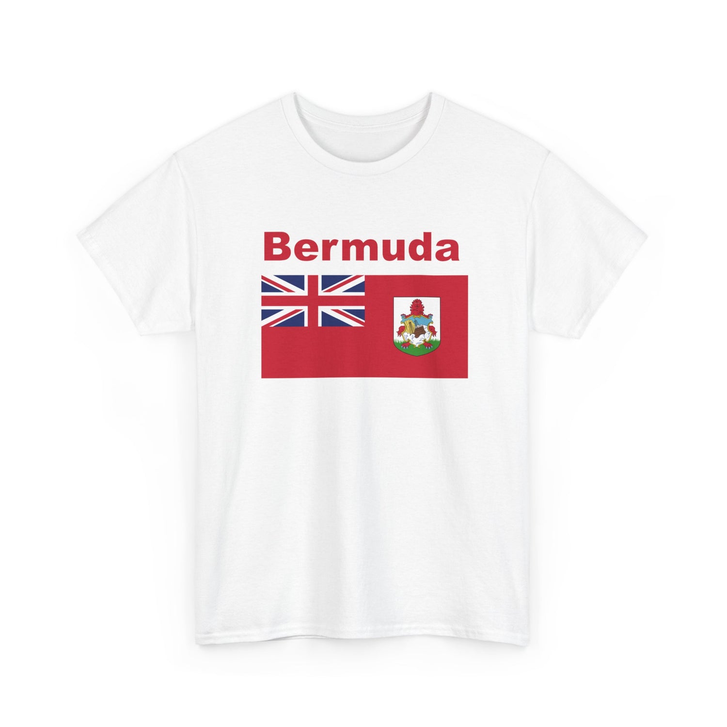 Unisex Heavy Bermuda Cotton Tee