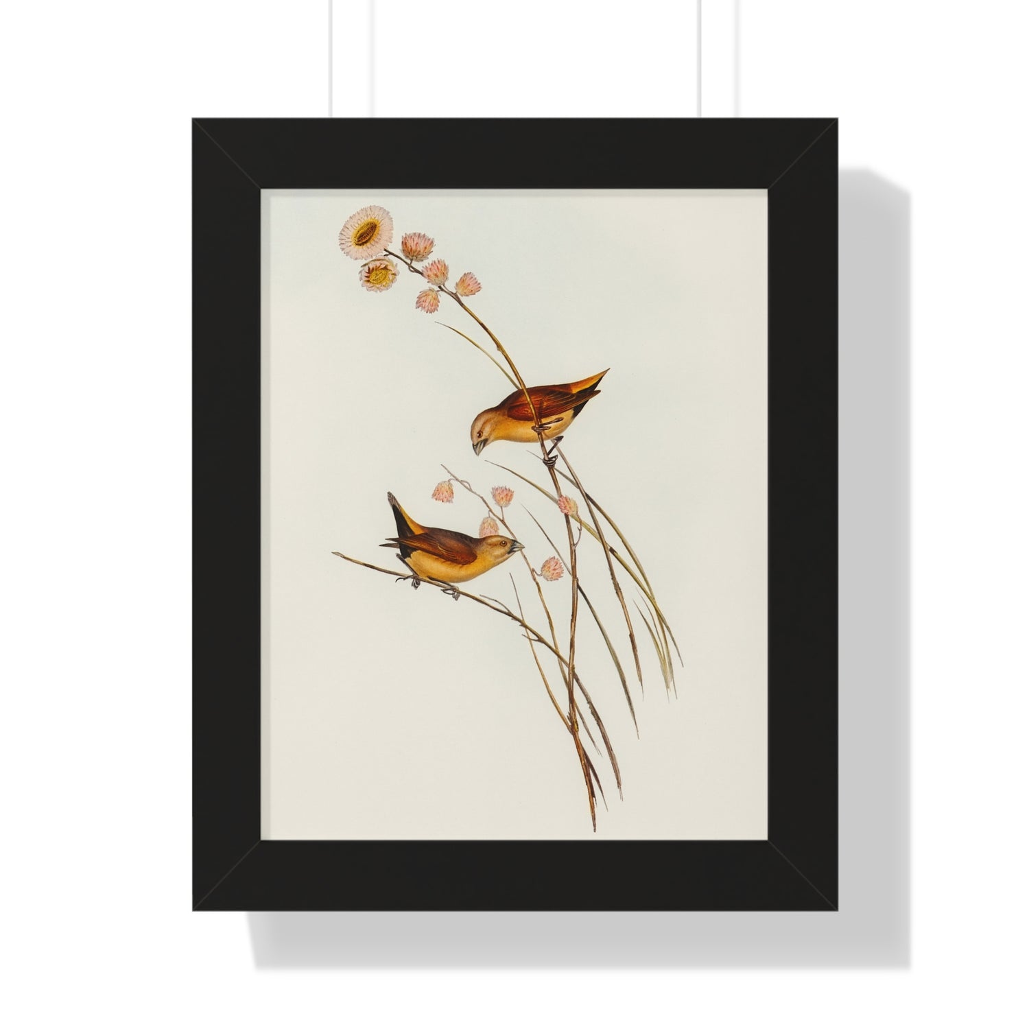 Charming Bird Framed Poster | Nature Art Print, Wall Decor, Gift for Bird Lovers, Home Aesthetic, Vintage Print
