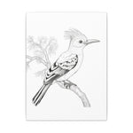 Bird Illustration Stretched Canvas Art, Wall Decor, Nature Lover Gift, Boho Home Decor, Unique Bird Prints