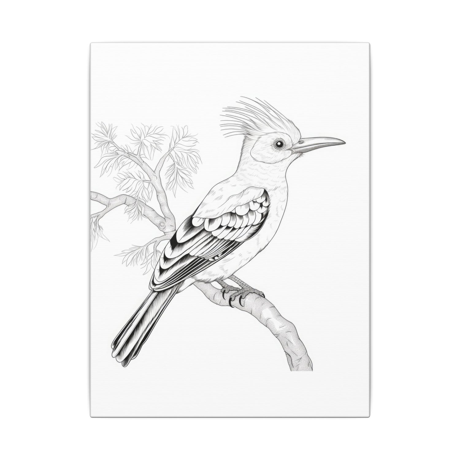 Bird Illustration Stretched Canvas Art, Wall Decor, Nature Lover Gift, Boho Home Decor, Unique Bird Prints