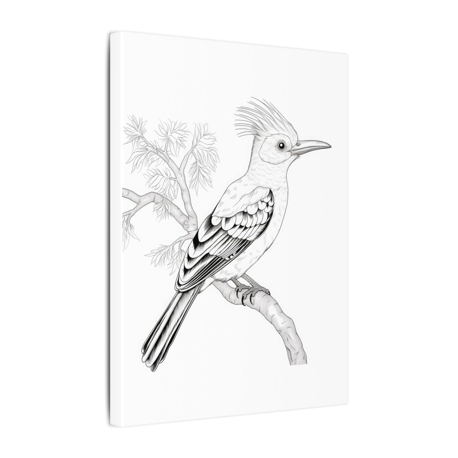 Bird Illustration Stretched Canvas Art, Wall Decor, Nature Lover Gift, Boho Home Decor, Unique Bird Prints