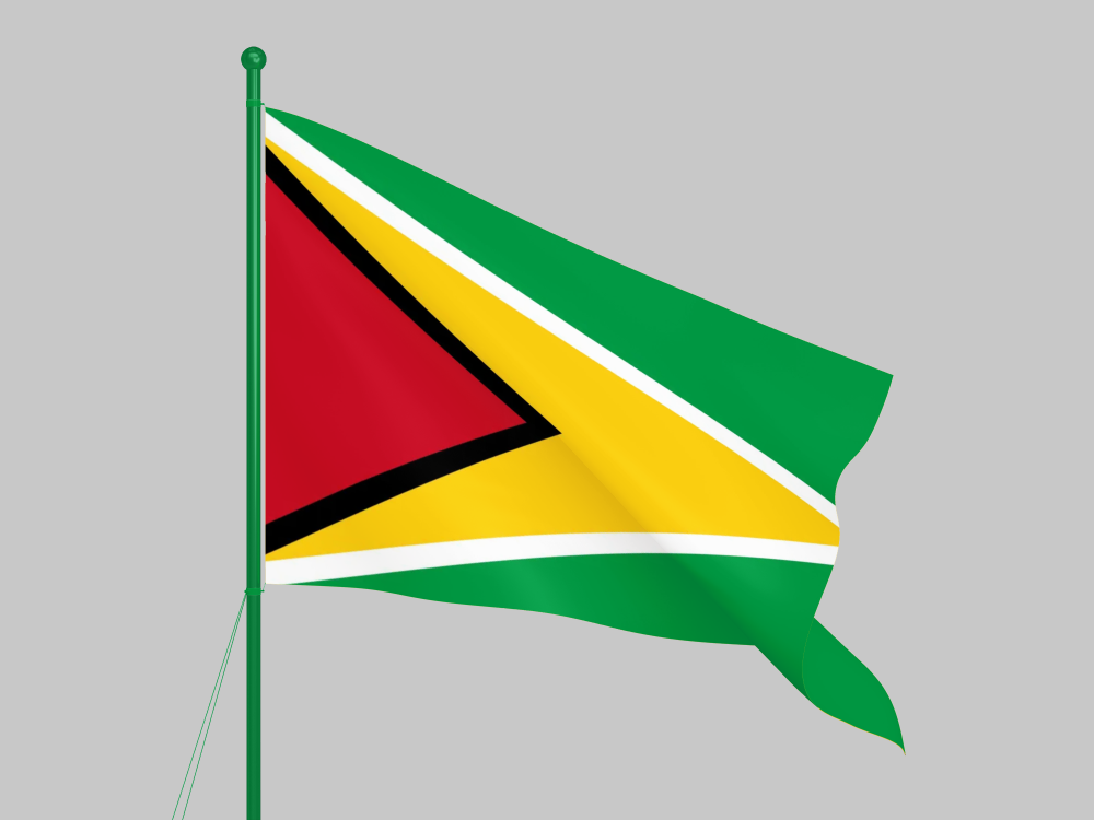 Guyana National Flag – The Golden Arrowhead of Pride